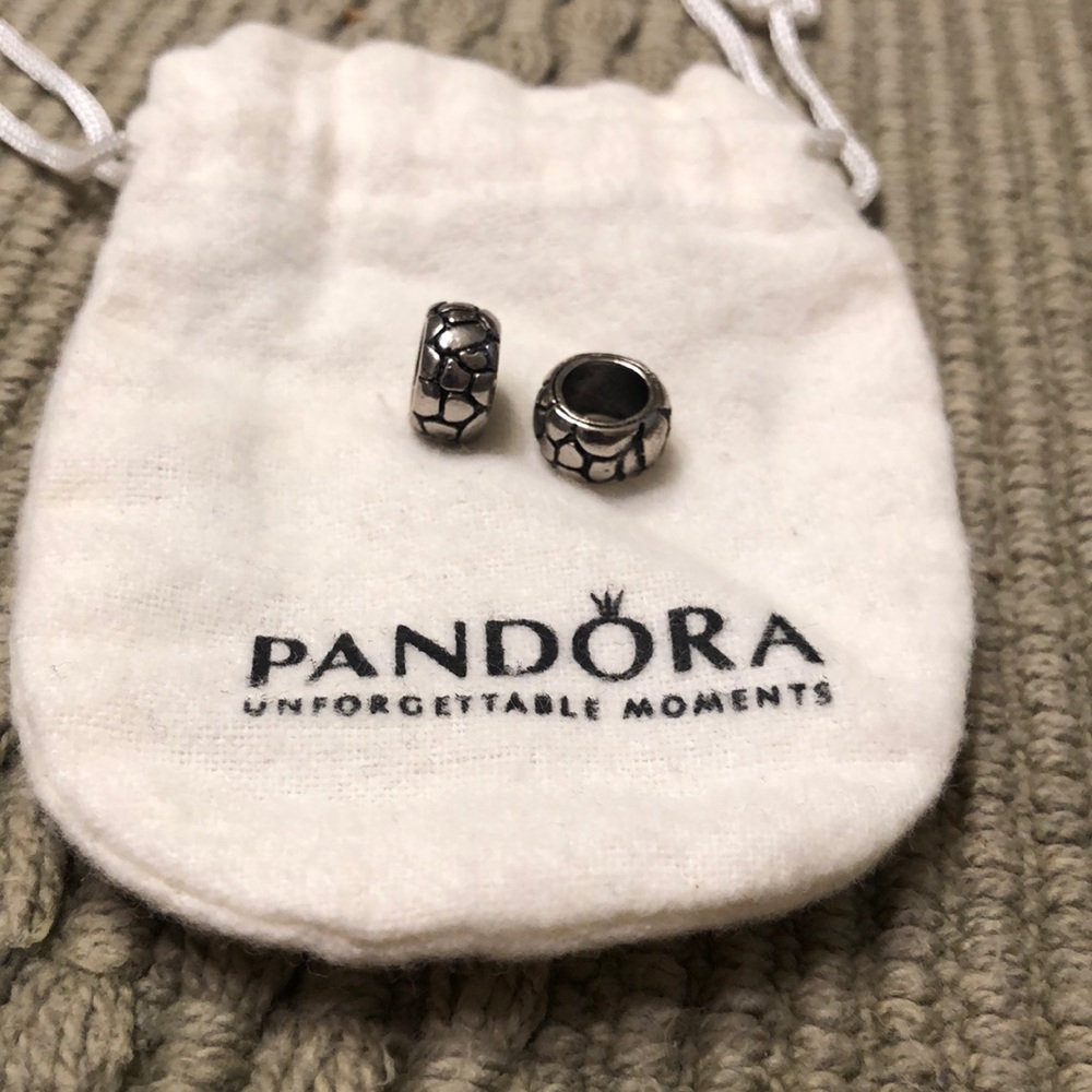 Pandora Charms